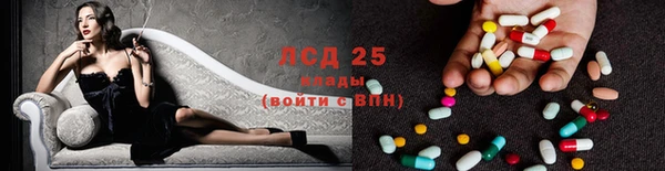 кокс Аркадак