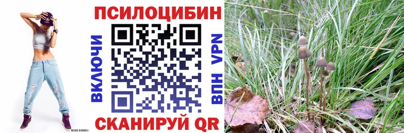 купить закладку  Порхов  Галлюциногенные грибы Magic Shrooms 