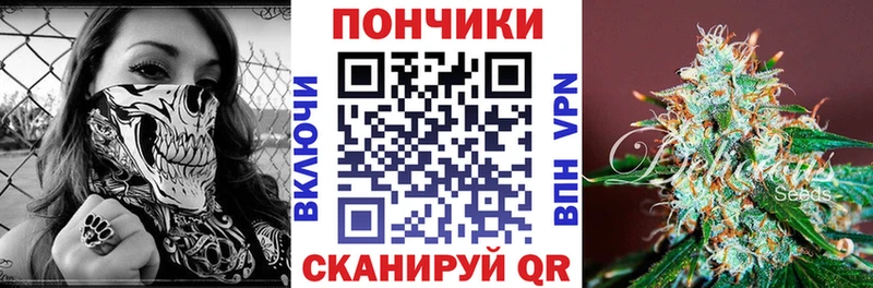 купить   Порхов  Конопля план 